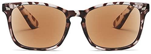 ABETOS Sonnenbrille Lesebrille Damen Herren Getönte Lesebrillen mit Sonnenschutz Klassischer Lesehilfe Sehhilfe mit Sehstärke 1.0+ 1.5+ 2.0+ 2.5+ 3.0+, Leopard+2.5