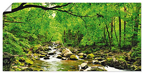 ARTLAND Wanddeko Poster & Kunstdrucke Wandposter 100x50 cm Natur Landschaft Wald Fluss Wasserfall Felsen Steine Bach T1YH