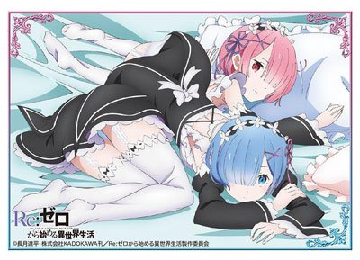 Bushiroad Sleeve Collection HG (High Grade) Vol.1142 Re: Different World Life from Scratch REM & RAM'