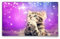 Silent Monsters Mauspad 240 x 200 mm Stoff Mousepad Katze - Vernähter Rand, rutschfest & leise, für Gaming Büro Office Homeoffice - 24 x 20 cm Mouse Pad Mat - Mausunterlage klein f alle Maus Arten
