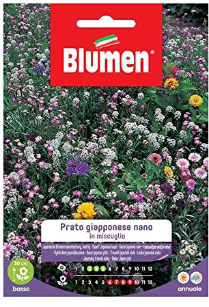 SEMI PRATO GIAPPONESE NANO MIX BLUMEN