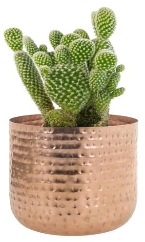 Vase cylindrique en cuivre martelé de 15,2 cm pour plantes d'intérieur – Fabriqué à la main en Inde