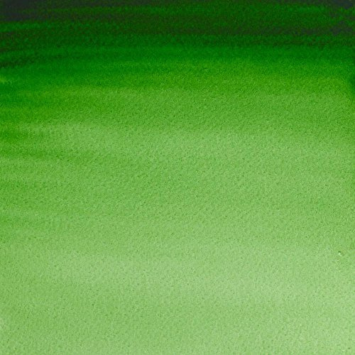 Winsor & Newton Artists Watercolour Hookers Green 5ml Tube