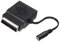 Adaptador de euroconector Male hembra – Jack 3.5 estéreo hembra.