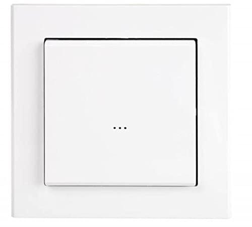 Funk-Wandtaster 2-Tasten batteriebetrieben FW-WSO2 f&f 5902431672618