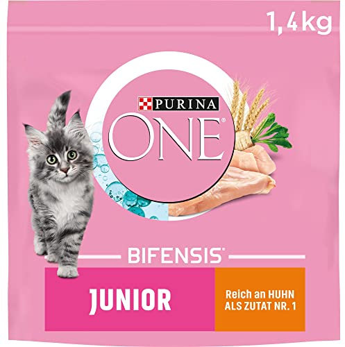 PURINA ONE BIFENSIS JUNIOR 1–12 Katzenfutter Kitten trocken, reich an Huhn, 6er Pack (6 x 1,4kg)