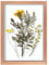 Frametory, Floating Picture Frame 5x7 - Rose Gold Aluminum Metal Photo Frame - Real Glass of Front - for Wall Mount Displays