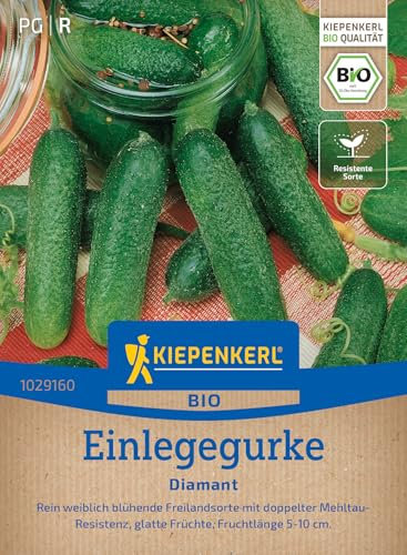 Kiepenkerl Einlegegurkensamen Diamant 1029160 – BIO Gurkensamen, bitterfrei, glatte Früchte, Cornichons, perfekt für eingelegte Gurken, Gemüsesamen