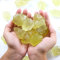 Nvzi Cristales de Citrino,Cristales a Granel,Cristales y Piedras de Sanación,Rocas para Pulir,Cristal de Amatista,Cristales en Crudo a Granel,Cristal de Calcita para Decoración,Wicca,Reiki(1LB)
