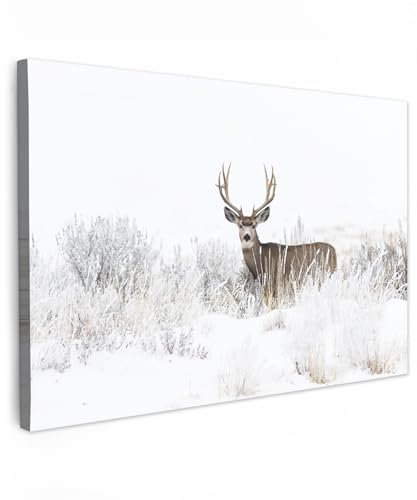 MuchoWow© Leinwand Groß 120x80 cm XXL Deko Schlafzimmer Aesthetic Leinwandbilder Wohnzimmer Gemälde Foto Geschenk Living Room Decoration Hirsch Bild - Rotwild - Reh - Winter - Schnee - Tiere - Weiß