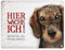 Metallschild mit Dackel Motiv und Spruch: Betreten auf eigene Gefahr - Hier wache ich!