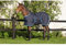 Horseware Outdoor-Decke für Pferde Amigo Foal Rug