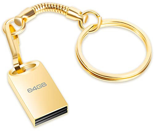 Chiavetta USB 64 GB, Mini Pen Drive 64gb Metallo Penna USB 64 Giga Portatile Flash Drive 64giga USB 2.0 Thumb Drive con Portachiavi per PC, Laptop, Smart TV, Auto Ecc (Oro)
