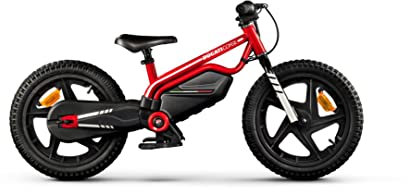 Ducati Kid e-Bike E-Moto Kids, Motore 150W, Ruote 16, Batteria 125Wh, Autonomia fino a 30 min