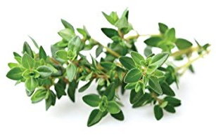 Click and Grow - Smart Garden Refill 3-Pack - Thyme (SGR17X3)
