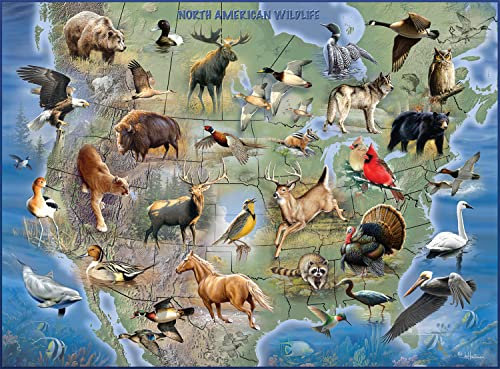 Buffalo Games - Hautman Brothers - North American Wildlife - 1000 Teile Puzzle