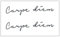 2 PCS Letras Inglesas A Tiempo Carpe Diem Herbal Tattoo Stickers Jugo Semipermanente Impermeable Hombres Y Mujeres Duraderos