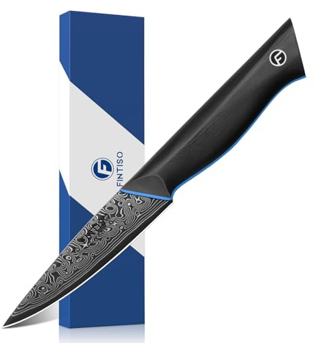 FINTISO 3.75 Inch Paring Knife, Fruit Knives with G10 Handle, 67-Layer Japanese Damascus Steel Forged Small Kitchen Knife, Ultra Sharp Knves with Exquisite Package