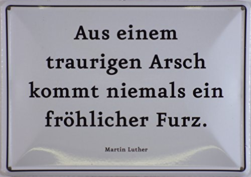 RV Blechschild 10x15 cm Aus einem traurigen Arsch Spruch Sprüche Sign Blechschilder Schild Schilder 059