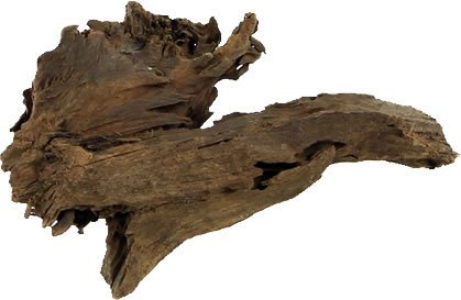 Hobby Mangrovenholz XS, 12-15cm, per Stück