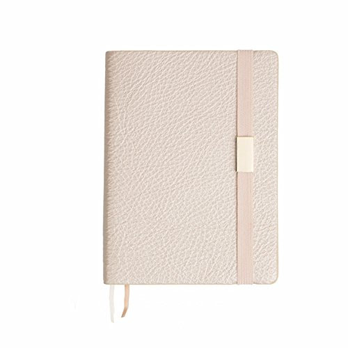 ToiM A5 PU Pure Color Einfacher Notizblock Handbuch Notizbuch mit blanko Innenpapier, in Geschenkverpackung (Champagner)