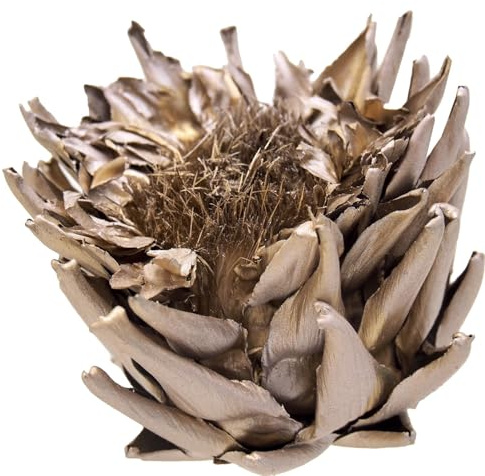 ZauberDeko Getrocknete Artischocken Kopf Blüte Gold Champagner Natur Deko Herbst Weihnachten 8cm