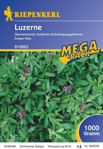 Luzerne - Gründünger 1 kg Mega-Pack