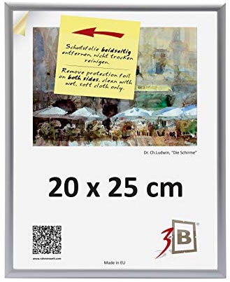 3-B Cadre de l'image ALU FOTO 20x25 cm - argent mat - cadre photo en aluminium, mural et de table, avec verre acrylique