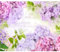 murando Fototapete Blumen 450x315 cm Vlies Tapeten Wandtapete XXL Moderne Wanddeko Design Wand Dekoration Wohnzimmer Schlafzimmer Büro Flur Hortensie Natur violett rosa pink grün b-C-0100-a-a