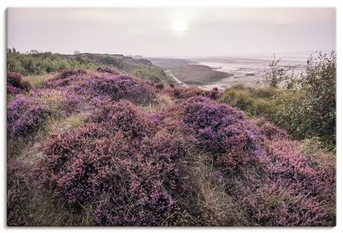 ARTLAND Wanddeko Leinwand Bilder Wandbild 90x60 cm Landschaften Küste Strand Pflanzen Heidekraut Blumen Sylt Friesland U4XW