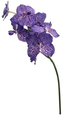 CSFFA 4 Stück Faux 7-köpfige Vanda-Orchidee, realistische Phalaenopsis-Blumen, fühlt Sich echt an, Orchideen, Party, Hochzeit, Blumenarrangement, Home Decor Design(Dark Purple)