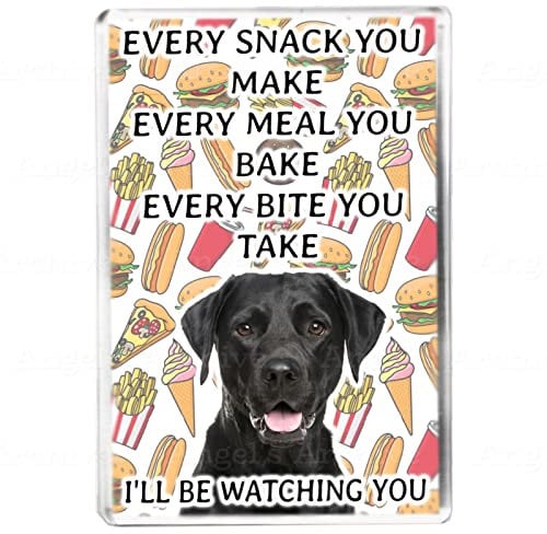 Every Snack You Make - Black Labrador - Funny Pet Owner Quote - Dog Mum/Dad - Fridge Magnet - Novelty Gift