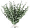 YiliYa 30 Pcs Hojas de Eucalipto Artificiales Decoración Tallos Eucalipto Artificiales 38cm Eucalipto Planta Natural para Decoración de Bodas Hogar Arreglo Floral