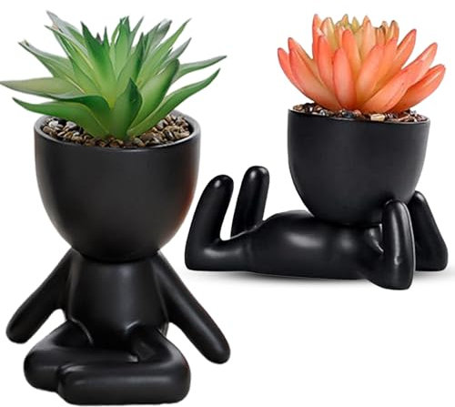 WoRuyKot Paquet de 2 Plantes de Cactus Succulentes Plantes Grasses en Céramique Noire, Petites Fleurs Bonsaï Artificielles Mignonnes en Pot pour la Décoration du Bureau et du Salon
