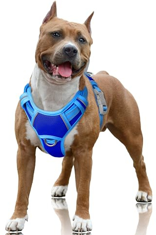 BARKBAY No Pull Dog Harness Large Reflective Dog Harness with Front Clip and Easy Control Handle for Walking Training Running with ID tag Pocket(Sapphire Blue & Blue,L)