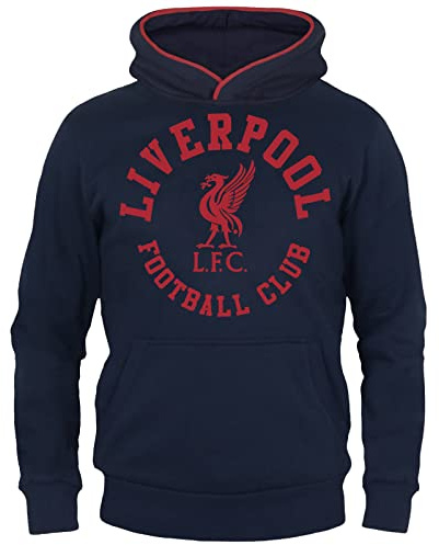 Liverpool FC Boys Hoody Fleece Graphic Kids OFFICIAL Football Gift