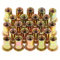 Gueenky 50 Pièces Écrou à Rivet M12 Fileté à Tête Plate, Écrous à Riveter Fileter en Acier au Carbone Zingué, Assortiment M12 Rivet Inserts Filetés pour Métal Plastique (18 mm x 22 mm)