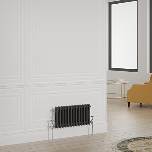 Warmehaus Traditional Radiator Double Column Black Horizontal Cast Iron Style Central Heating Radiator - 300x605mm