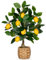 Künstliche Pflanze Deko Zitronenbaum, 40cm Plastik Pflanze im Gewebter Topf, Kunstpflanzen wie echt, Zimmerpflanzen Künstlich mit Zitronenzweig und Zitrone Früchte für Home Decor Wohnzimmer Küche Büro