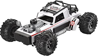 1:10 Scale Remote Control Car, 2.4GHz Wireless RC Off-road Vehicle, 4WD High Speed Remote Control Truck Electric Toy, with Spray, Children's Gift (White)