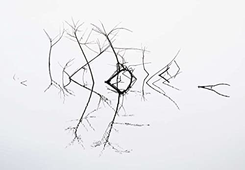 Kunstdruck/Poster: Bernie Delaney Zitternd - hochwertiger Druck, Bild, Kunstposter, 55x40 cm