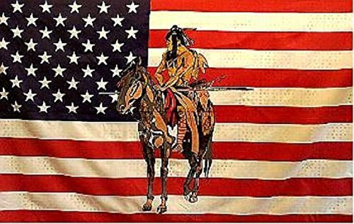 U24 Drapeau américain avec motif cheval III 90 x 150 cm