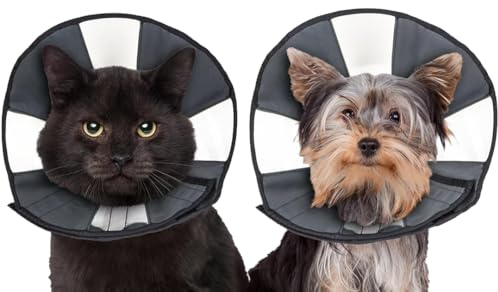 ZenPet Procone S