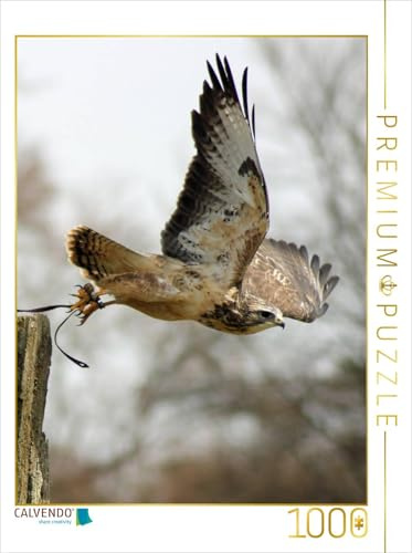 CALVENDO Puzzle Abflug | 1000 Teile Lege-Größe 48 x 64 cm Foto-Puzzle für glückliche Stunden