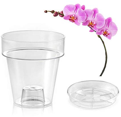 Teraplast Porto Vaso trasparente con supporto per orchidee, con 4 fori di drenaggio, vaso da 14 cm di diametro, completo di piattino