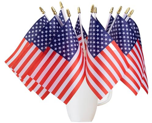Lot de 12 petits drapeaux américains sur bâton 12 x 20 cm / mini drapeaux américains / drapeaux américains à main (30,5 cm, 12,7 x 20,3 cm)