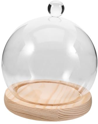Sosoport 1 Set Mikro Landschafts Glasabdeckung Pflanzen Cloche Glaskuppeln Für Kunsthandwerk Glas Display Glas Landschaftsabdeckungen Passend Zu Cloche Glas Landschaftskuppel