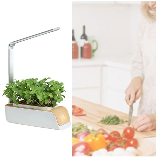 BesBet Kit De Cultivo Hidroponico, Lampara De Crecimiento De Plantas Sin Restricciones Estacionales, Altura Ajustable, Huertos Urbanos para Casa, para Verduras, Encimeras, Cocina