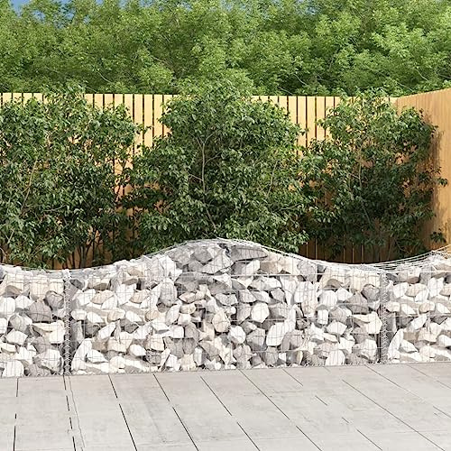 Hovothy Gabione mit Hochbogen Gabionenwand Steinwand Gabionenkorb Steinkorb Gartenmauer Steingabione Mauer Gabione aus Metall Pflanzenwand Gabionenkörbe Silber 200x50x80 cm Verzinktes Eisen