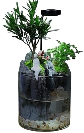 Aquarium mit Wasserfall-Funktion, Glasbehälter für den Schreibtisch mit lebenden Pflanzen und Zen-Landschaftsdekoration (F)